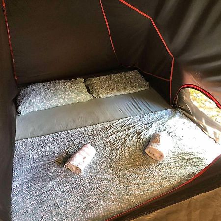 بورتوروز Apartments Zimerman المظهر الخارجي الصورة